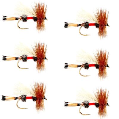 The Fly Fishing Place Royal Trude Classic Trout Dry Fly Fishing Flies - Set of 6 Flies Size 14