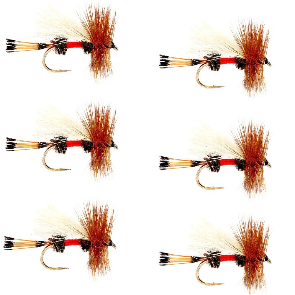 The Fly Fishing Place Royal Trude Classic Trout Dry Fly Fishing Flies - Set of 6 Flies Size 10