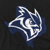 Rice University Official Texas Unisex Adult T-Shirt, Black, 4X-Large view 2