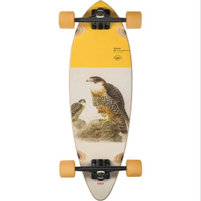 Globe Longboard Pintail 34 Falcon 8.5" x 34"