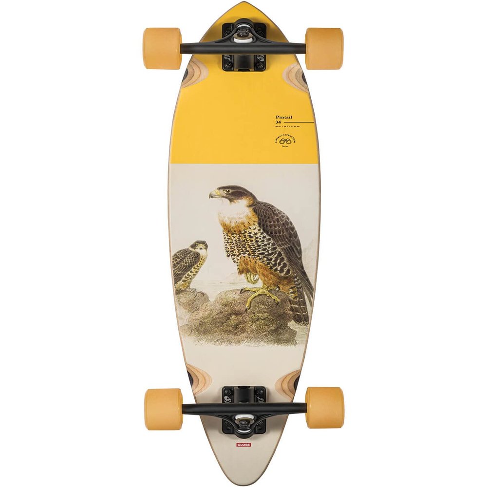Globe Longboard Pintail 34 Falcon 8.5" x 34"