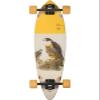 Globe Longboard Pintail 34 Falcon 8.5" x 34" view 1
