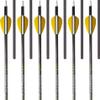 Trophy Ridge Wrath Archery Arrows 30" Length, 400 Spine (Pack of 6) view 1