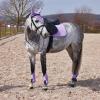 HORZE Adepto Padded All Purpose Quilted Equestrian Saddle Pad for Horses with Two-Tone Trim - Languid Lavender Purple - Horse view 3