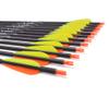 Carbon Arrow Hunting Arrows with 100 Grain Tip and Removable Tips for Archery Compound & Recurve & Traditional Bow Practice Shooting Targeting view 4