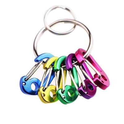 ABCOOL 7PCS Keychain Keyring Clips Mini Carabiner - 1 inch Micro Tiny Small Fixed Eye Hole Paracord Aluminum Hooks for Home Rv Camping Fishing Hiking Traveling and Sports Outdoors