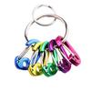 ABCOOL 7PCS Keychain Keyring Clips Mini Carabiner - 1 inch Micro Tiny Small Fixed Eye Hole Paracord Aluminum Hooks for Home Rv Camping Fishing Hiking Traveling and Sports Outdoors view 1