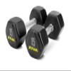 ZIVA Performance HEX Dumbbells  Solid Steel Core, Premium Urethane Rubber Encasing, Corrosion Resistant - Commercial Grade for Rigorous Exercise, Strength Training - Pair of Two Dumbbell, 15 lb. view 1