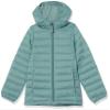 Amazon Essentials Toddler Girls' Lightweight Water-Resistant Packable Hooded Puffer Jacket, Green, 4T view 1