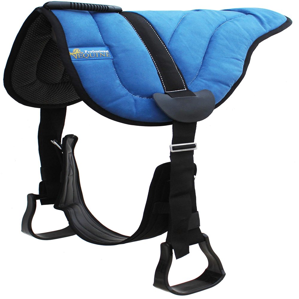 CHALLENGER Horse Saddle PAD Western Lightweight Neoprene Padded Bareback Navy 39187NV