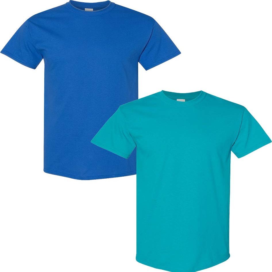 Gildan Men's Heavy Cotton Short Sleeve T Shirt, 2-Pack LRG-Royal-Tropical