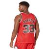 Mitchell & Ness NBA Chicago Bulls Scottie Pippen 1995 Swingman Jersey XL view 2