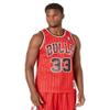 Mitchell & Ness NBA Chicago Bulls Scottie Pippen 1995 Swingman Jersey L view 1