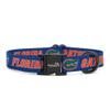 Florida Gators Adjustable Collars and Leashes | Officially Licensed | Fits All Pets! (Large Collar) view 1