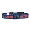 Florida Gators Adjustable Collars and Leashes | Officially Licensed | Fits All Pets! (Large Collar) view 4