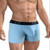 Wildmant Big Boy Pouch 5" Inseam Boxer Brief Light Blue view 2