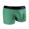 Wildmant Big Boy Pouch 5" Inseam Boxer Brief Green view 1