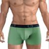 Wildmant Big Boy Pouch 5" Inseam Boxer Brief Green view 2