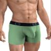 Wildmant Big Boy Pouch 5" Inseam Boxer Brief Green view 3