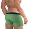 Wildmant Big Boy Pouch 5" Inseam Boxer Brief Green view 4