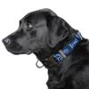 Littlearth NFL Tennessee Titans Pet Premium Collar, Team Color, Small view 2