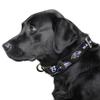 Littlearth NFL Baltimore Ravens Pet Premium Collar, Team Color, Small view 2