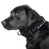 Littlearth NFL Atlanta Falcons Pet Premium Collar, Team Color, Medium view 2