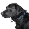 Littlearth NFL Chicago Bears Pet Premium Collar, Team Color, Large view 2