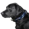 Littlearth NFL New England Patriots Pet Premium Collar, Team Color, Small view 2