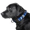 Littlearth NFL Indianapolis Colts Pet Premium Collar, Team Color, Medium view 2