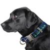 Littlearth NFL Seattle Seahawks Pet Premium Collar, Team Color, Medium view 2