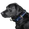 Littlearth NFL Houston Texans Pet Premium Collar, Team Color, Medium view 2