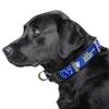 Littlearth NFL Los Angeles Rams Pet Premium Collar, Team Color, Medium view 2