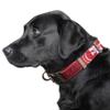 Littlearth NFL San Francisco 49ers Pet Premium Collar, Team Color, Small view 2