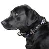 Littlearth NFL New Orleans Saints Pet Premium Collar, Team Color, Small view 2
