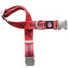 Littlearth NFL Tampa Bay Buccaneers Pet Premium Collar, Team Color, Medium view 1