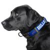 Littlearth NFL Buffalo Bills Pet Premium Collar, Team Color, Small view 2