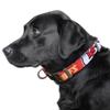 Littlearth NFL Kansas City Chiefs Pet Premium Collar, Team Color, Large view 2