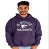 Blue 84 Men's Kansas State Wildcats Hoodie Line Up Team Color, Kansas State Wildcats Purple, X-Large view 3