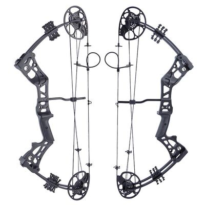 ZSHJGJR Archery Compound Bow and Arrow Set Beginners Youth Compound Bow Kit 15-45lbs Draw Weight 18"-29" Draw Length Adjustable for Hunting Target Practice Right Hand (Only Bow Black)