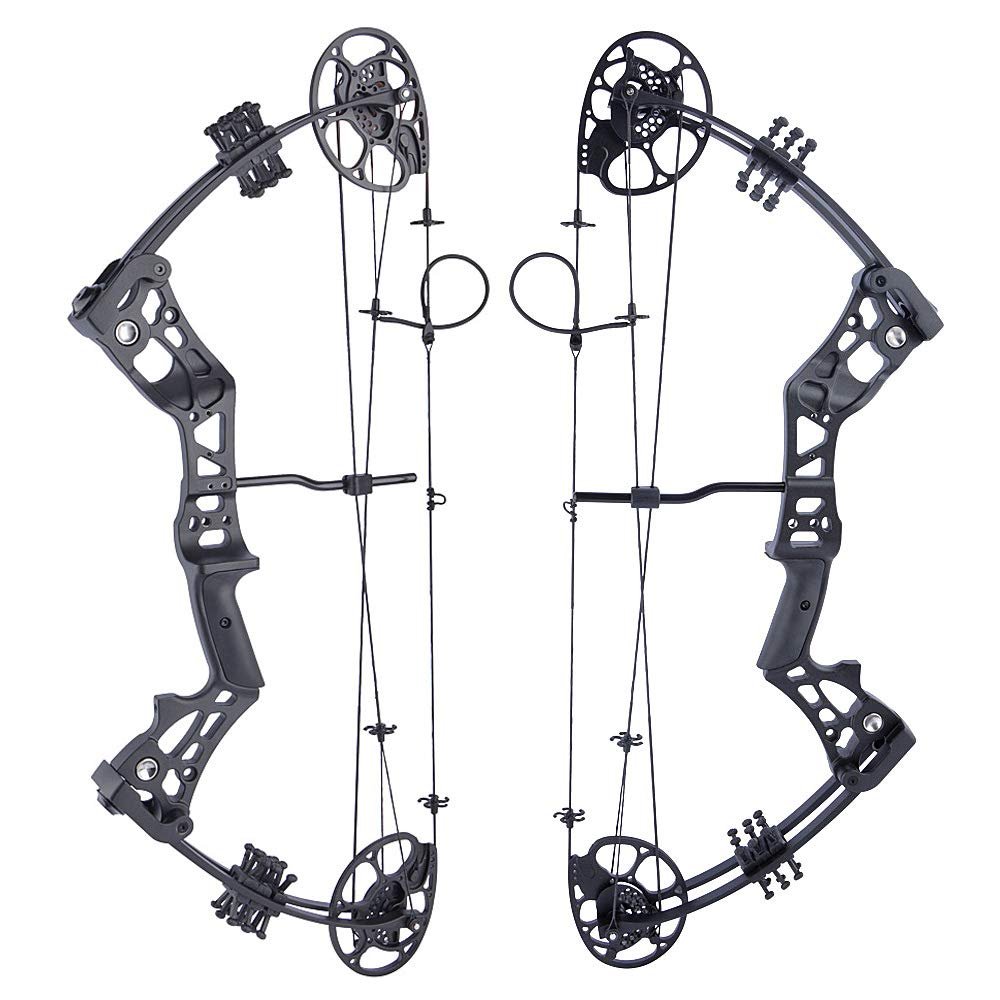 ZSHJGJR Archery Compound Bow and Arrow Set Beginners Youth Compound Bow Kit 15-45lbs Draw Weight 18"-29" Draw Length Adjustable for Hunting Target Practice Right Hand (Only Bow Black)