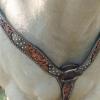 CIRCLE Y Dark Flash Arizona Flower Durable Distressed Leather Western Horse Size Contour Tapered Breast Collar with Silver Spot Accents view 3