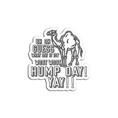 Hump Day Pun Camels Jokes Funny - Decorative Sticker Graphic