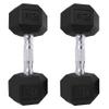 Saorzon Dumbbells Set of 2 Exercise Fitness Dumbbell for Home Gym Free Weights Hand Hex Dumb Bells Black 20LB view 1