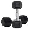 Dumbbells Set of 2 Hex Rubber Encased Dumbbells, Weights Dumbbells Set with Metal Handle for Exercise and Fitness (15 lb, Pair) view 1