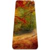 LEVEIS Yoga Mat Forest Season Autumn Scenery Thick Non Slip Exercise Workout Mats for Home Gym Floor Travel view 1