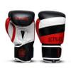 UFG Octalus - Pro Boxing Gloves MMA Muay Thai Bag Work Heavy Duty (16oz) view 4
