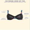 Swimsuits For All Women's Captain Underwire Bikini Top - 6, Blooming Floral (Plus view 4