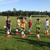 FUTWORKS Futpro Sport Trainer (Soccer, Performance, Training, Agility, Speed, Sports) (White) view 4