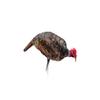 Montana Decoy Jake Purr-FECT XD Jake Decoy view 3
